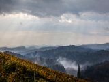 IMG_1515.jpg