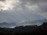 IMG_1517.jpg
