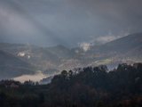 IMG_1521.jpg