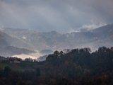 IMG_1524.jpg