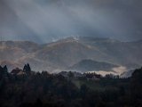 IMG_1526.jpg