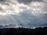 IMG_1527.jpg