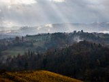IMG_1532.jpg