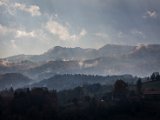 IMG_1537.jpg