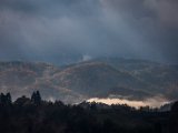 IMG_1542.jpg