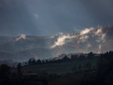 IMG_1547.jpg