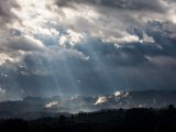 IMG_1550.jpg