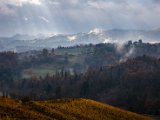 IMG_1555.jpg