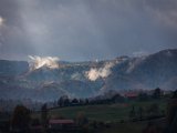 IMG_1564.jpg