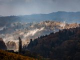 IMG_1595.jpg