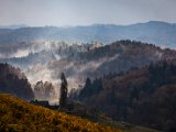 IMG_1598.jpg