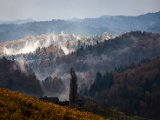 IMG_1601.jpg