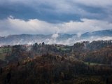 IMG_1614.jpg