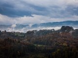 IMG_1616.jpg