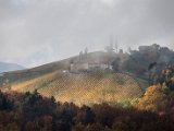 IMG_1625.jpg
