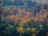 IMG_1630.jpg