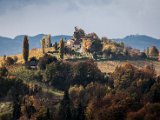 IMG_1651.jpg