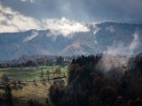 IMG_1660.jpg