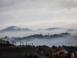 IMG_1668.jpg