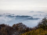 IMG_1672.jpg