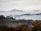 IMG_1676.jpg