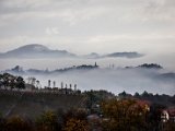 IMG_1681.jpg