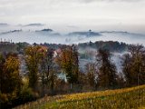 IMG_1684.jpg