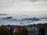 IMG_1686.jpg