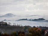 IMG_1697.jpg