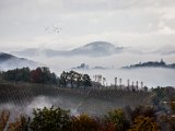 IMG_1700.jpg