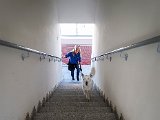 20181031_140930(1).JPG
