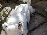 20181031_141131.JPG