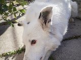 20181031_141140_Keana.JPG