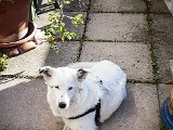 20181031_144234.JPG