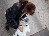 20181031_154153(0).JPG