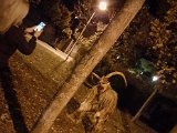 20181031_205102.JPG
