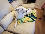 20181031_235413.JPG