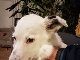 20181101_000202.JPG
