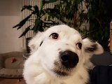 20181101_000210.JPG