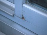 IMG_0007.CR2