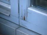 IMG_0010.CR2