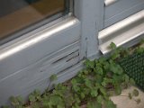 IMG_0016.CR2