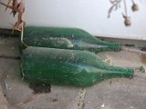 IMG_0049.CR2