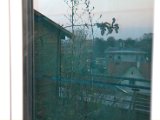 IMG_0052.CR2