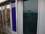 IMG_0053.CR2