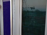 IMG_0054.CR2