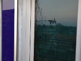 IMG_0057.CR2