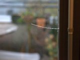IMG_0075.CR2
