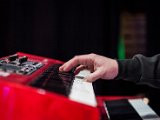 IMG_0118-2.jpg