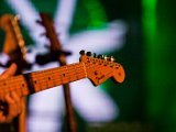 IMG_0580-2.jpg
